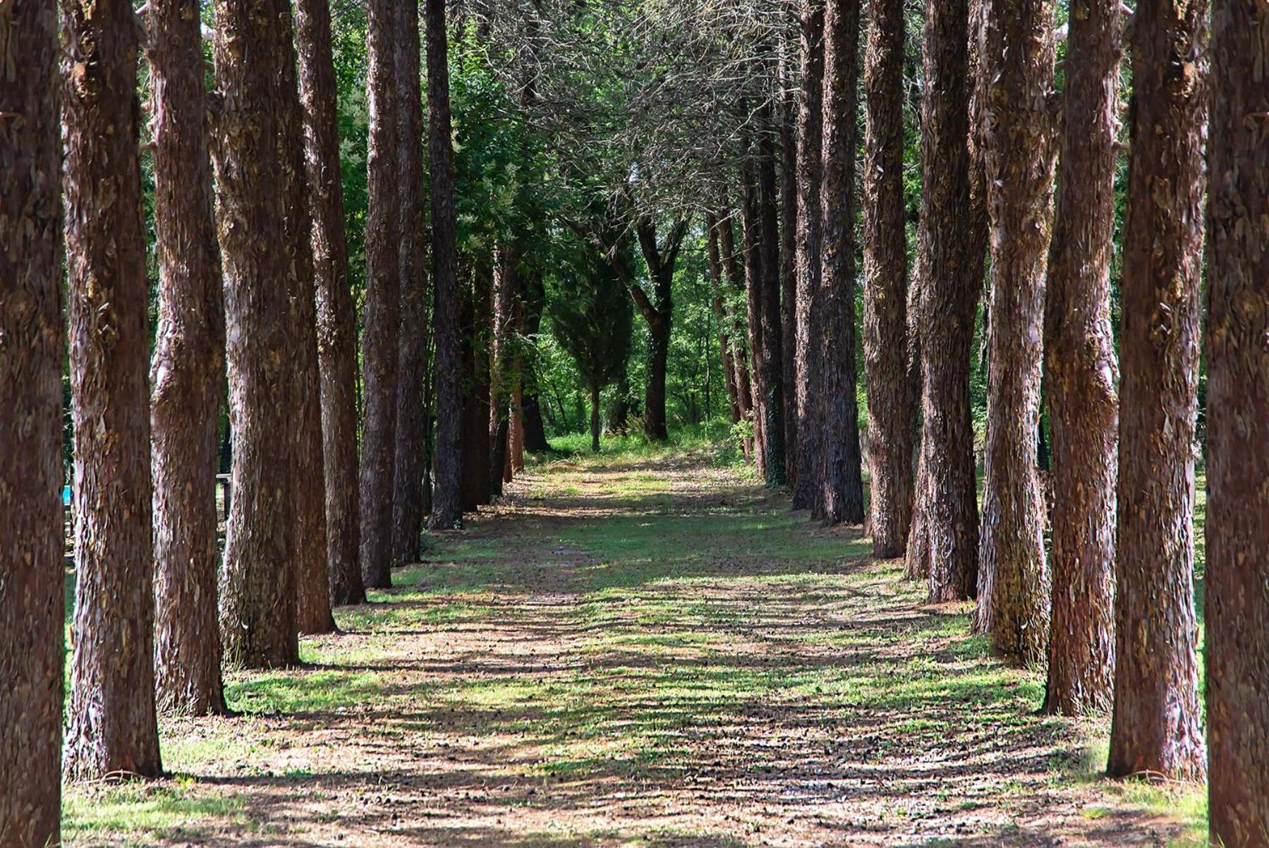 צ'טונה Agriturismo Villa Alari מראה חיצוני תמונה