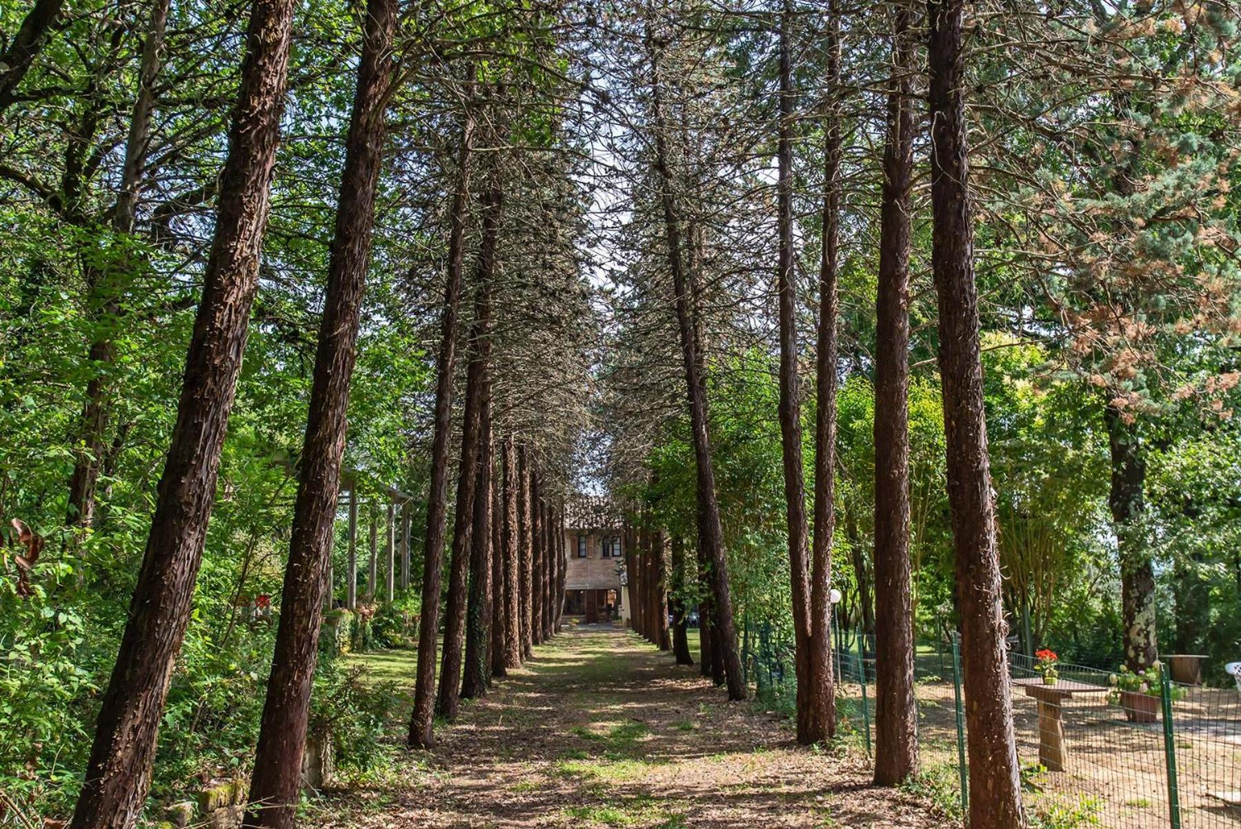 צ'טונה Agriturismo Villa Alari מראה חיצוני תמונה